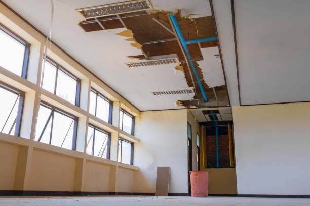 Trusted Bear Creek, FL Water damage restoration Experts