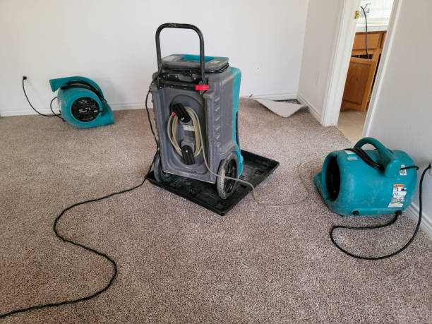 Best Water damage mitigation services  in Bear Creek, FL