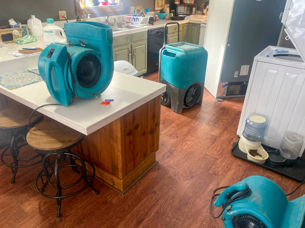 Best Water damage contractors near me  in Bear Creek, FL