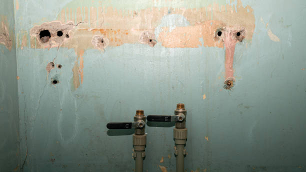 Water damage restoration experts in Bear Creek, FL