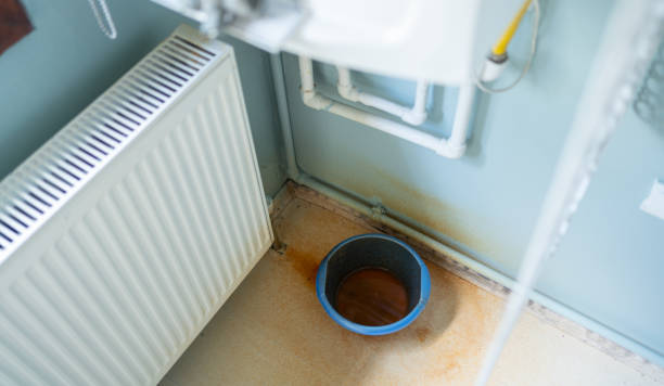Best Water damage restoration near me  in Bear Creek, FL