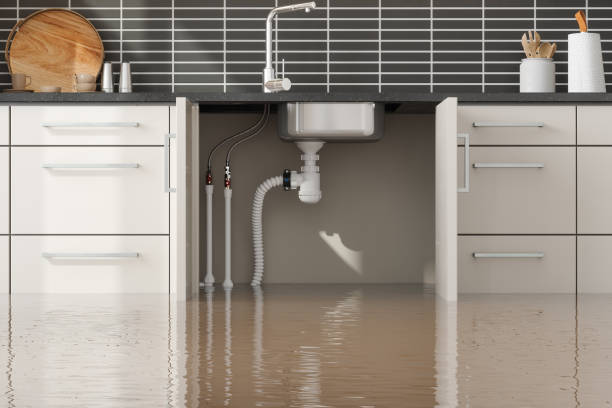 Best Fire Damage Restoration  in Bear Creek, FL
